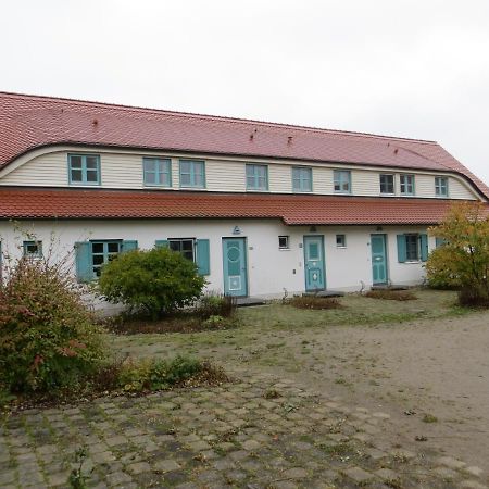 Bernsteinnixe Dranske Zewnętrze zdjęcie